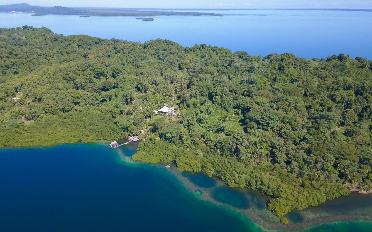 Finca Vela Lodge بوكاس تاون المظهر الخارجي الصورة