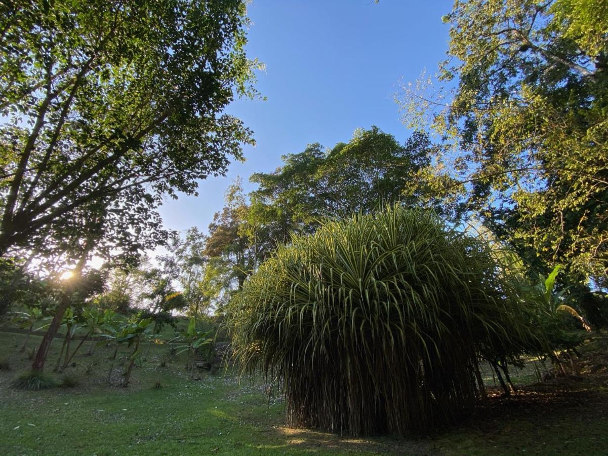 Finca Vela Lodge بوكاس تاون المظهر الخارجي الصورة