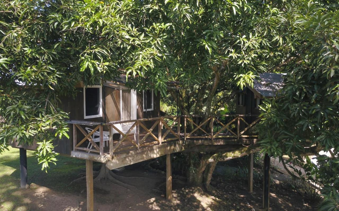 Finca Vela Lodge بوكاس تاون المظهر الخارجي الصورة