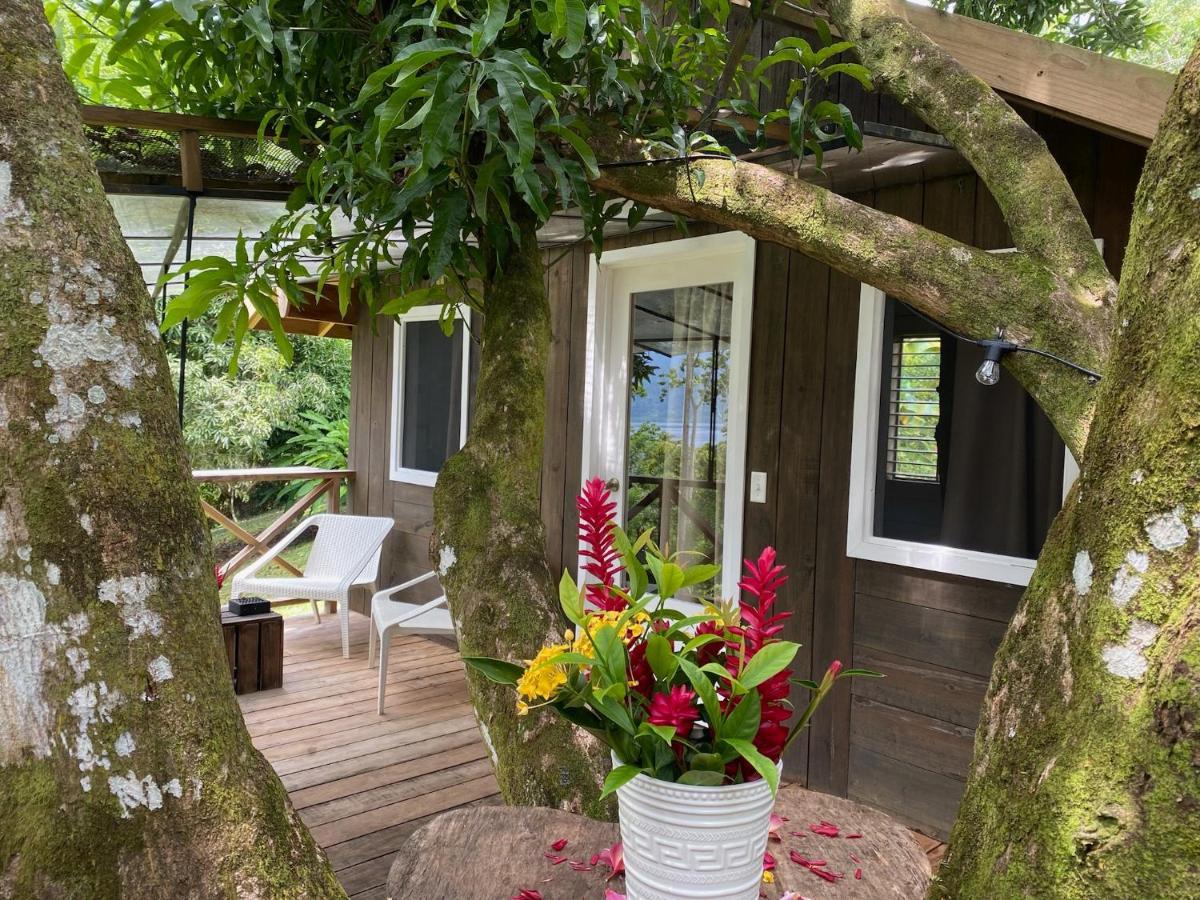Finca Vela Lodge بوكاس تاون المظهر الخارجي الصورة