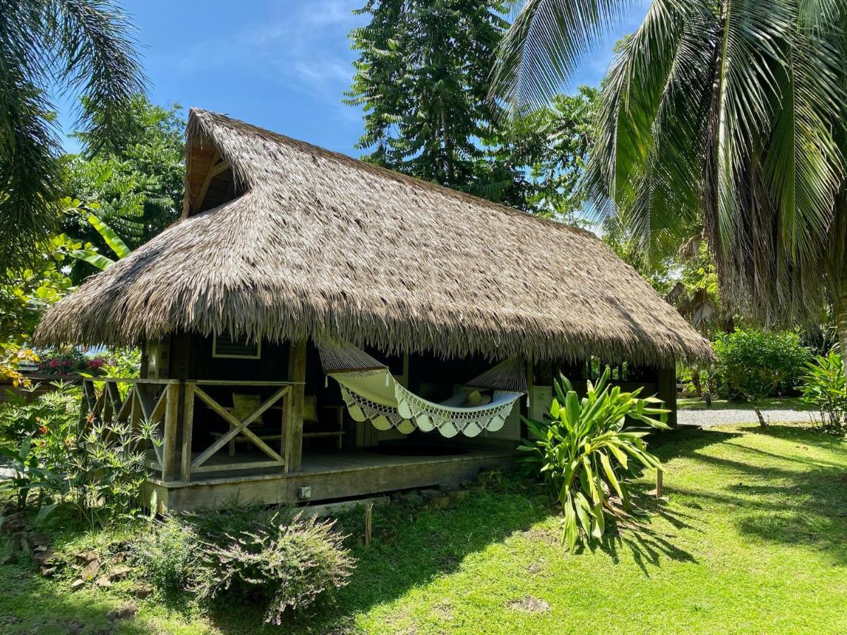 Finca Vela Lodge بوكاس تاون المظهر الخارجي الصورة