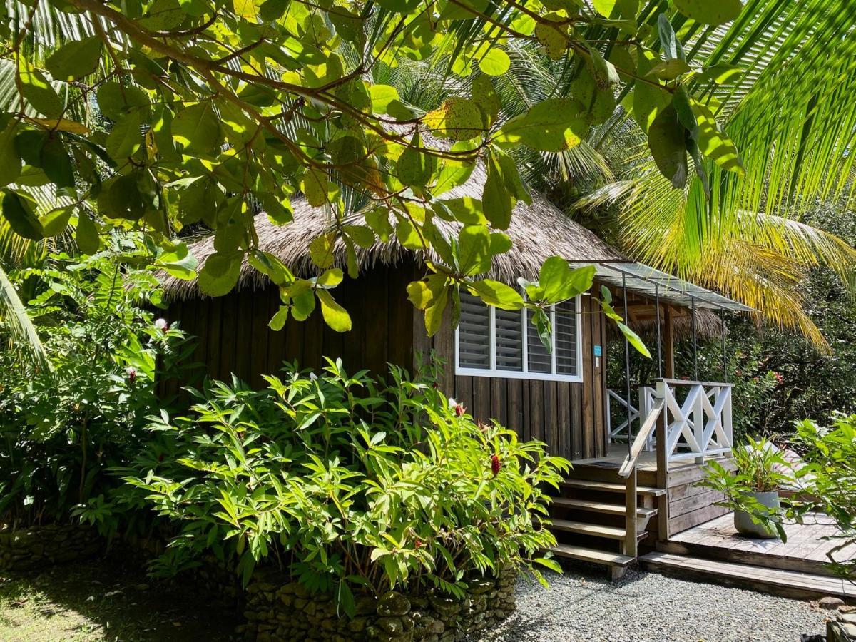Finca Vela Lodge بوكاس تاون المظهر الخارجي الصورة