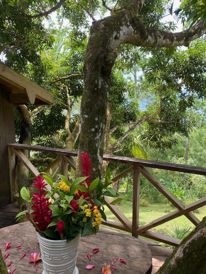 Finca Vela Lodge بوكاس تاون المظهر الخارجي الصورة