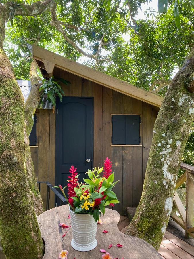 Finca Vela Lodge بوكاس تاون المظهر الخارجي الصورة