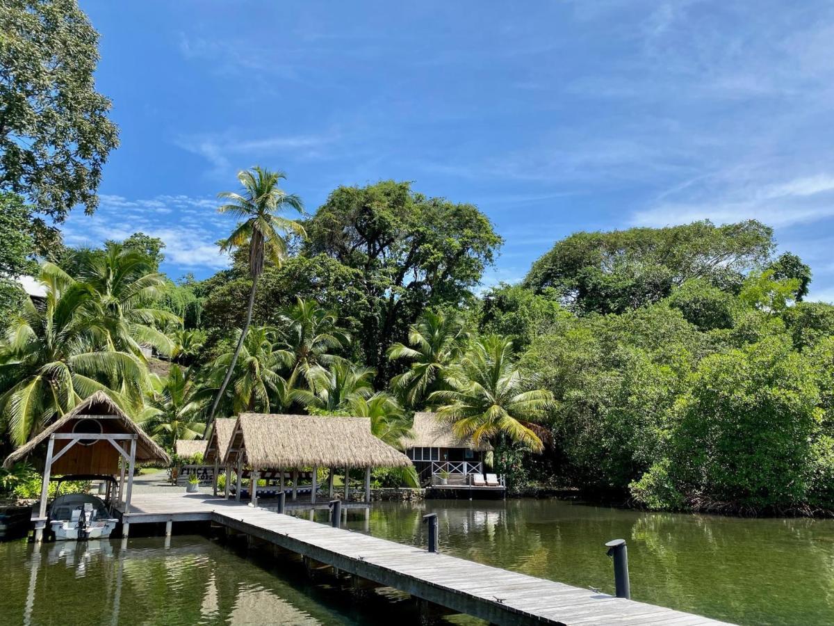 Finca Vela Lodge بوكاس تاون المظهر الخارجي الصورة