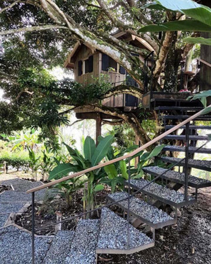 Finca Vela Lodge بوكاس تاون الغرفة الصورة
